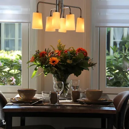De Dorpsdokter Bed & Breakfast Udenhout
