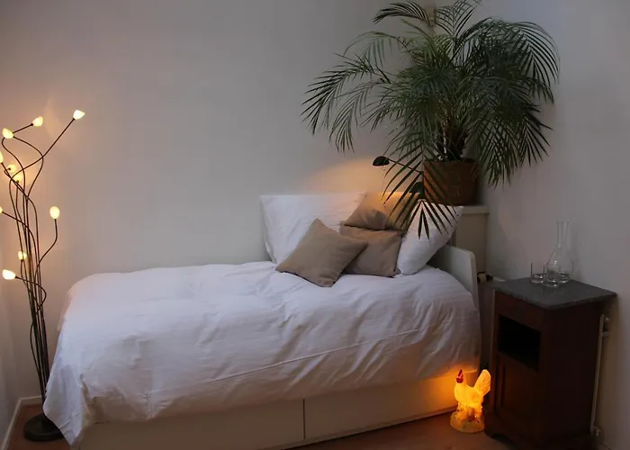 De Dorpsdokter Gasthof Udenhout